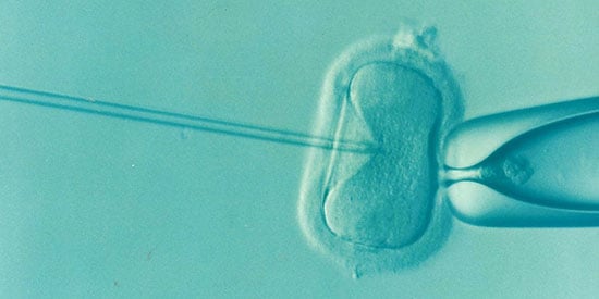 From nest egg to nursery: superannuation for IVF raises red flags