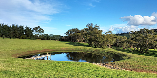 Deakin to launch ambitious nature-based solutions to climate change