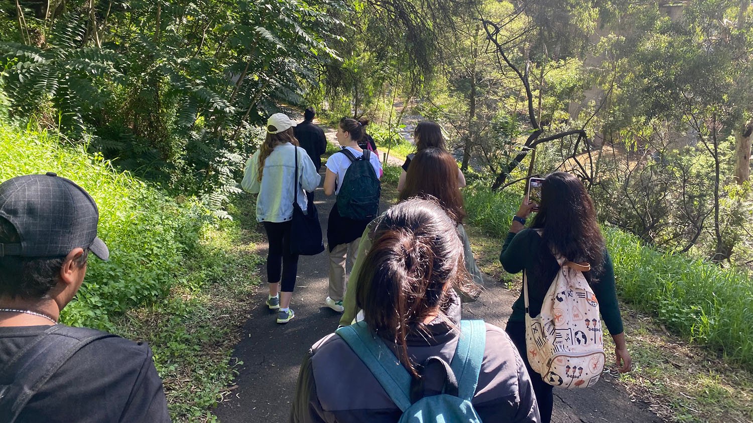 Students walking in nature