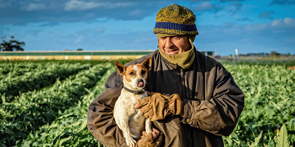 https://www.deakin.edu.au/__data/assets/image/0008/2781026/950x475_Harvestinghopebanner.png