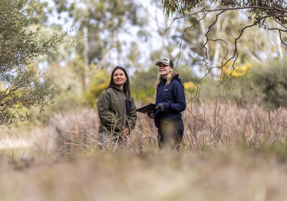 Fauna, fieldwork and the future