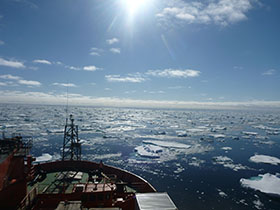 Research sparkles: Aurora Australis on its way to Antactica's Davis Station, where research from Deakin University scientist Dr Patricia Corbett contributed to a new wastewater treatment plan after she found the current conditions were harming rock cod in the area.