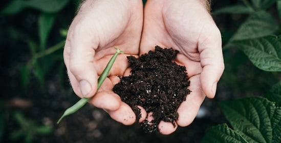 Deakin trial diverts tonnes of food waste from landfill