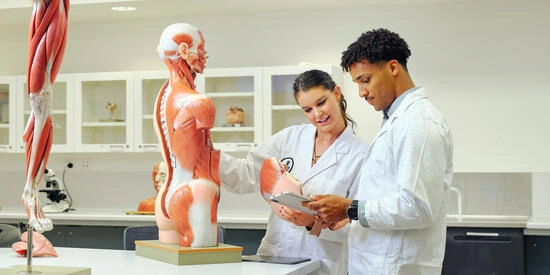 Two Deakin medicine students work with medical dummies.