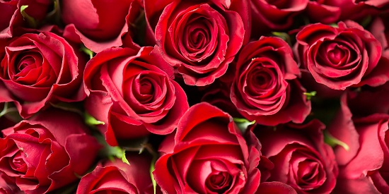 Valentine's Day and declarations of love: advice from a Deakin expert 