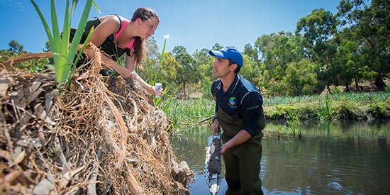 Deakin awarded $3.2million in ARC funding for Discovery Projects 