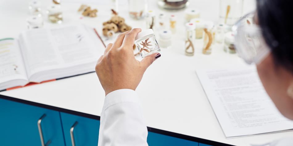 https://www.deakin.edu.au/__data/assets/image/0009/2391066/23708_950x475_science.jpg