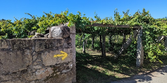 Entrance to a vineyard with a yellow arrow painted on the wall for pilgrims to follow