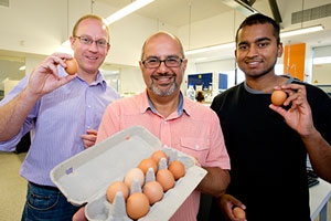 Eggcited: (from left) CSIRO researcher Dr Tim Doran, Assoc Prof Cenk Suphioglu and Deakin PhD student Mr Pathum Dhanapala.