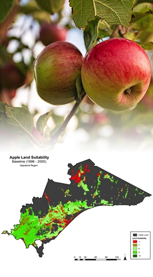 Apple land suitability graph. Baseline (1996-2005)Gippsland Region