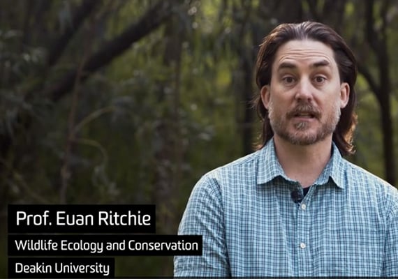 Explore Euan's research on Wildlife Ecology and Conservation