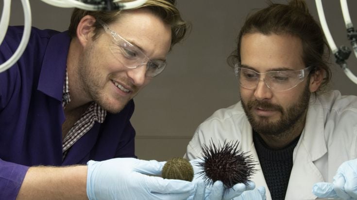 Two students inspecting a sea urchin