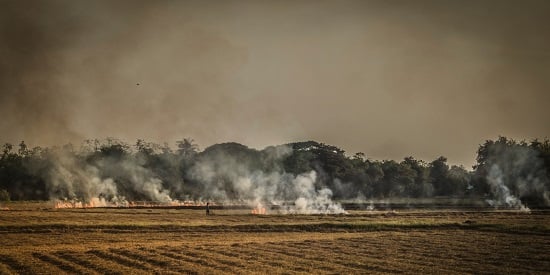 Pollution from farm fires significantly increases blood pressure risk