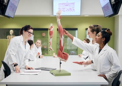 Study a Doctor of Medicine at Deakin