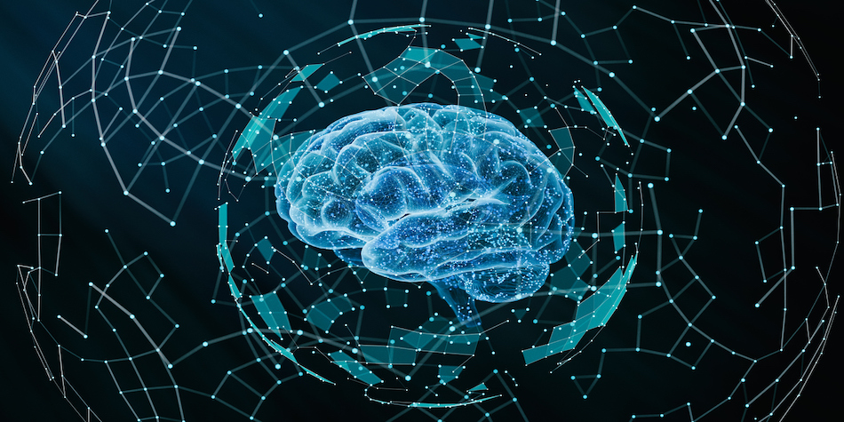 https://www.deakin.edu.au/__data/assets/image/0010/2690650/iStock-1372020521.jpg