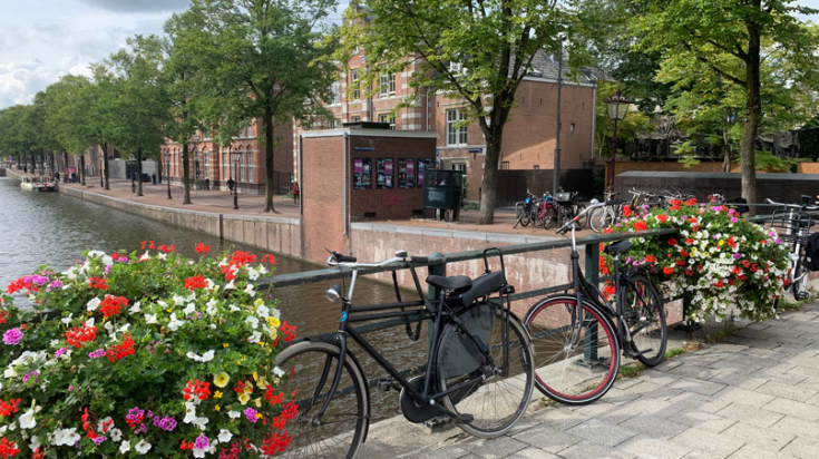 A view of flowers and bicycles on a canal bridge in Amsterdam