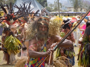 Image of a performer at the Goroka Show in Papua New Guinea, 2012.