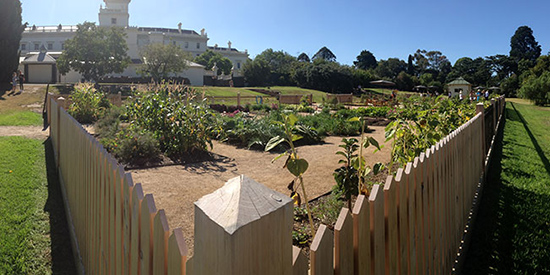 Design opportunity to help Government House garden grow