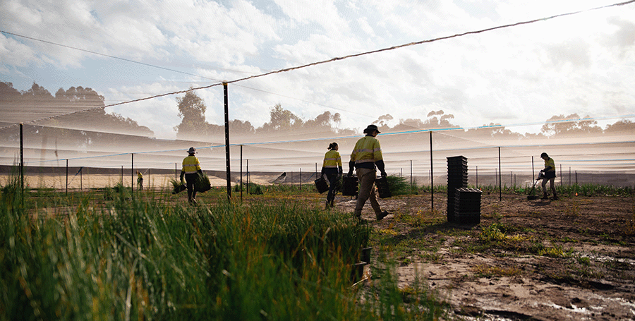 Water management experts on site