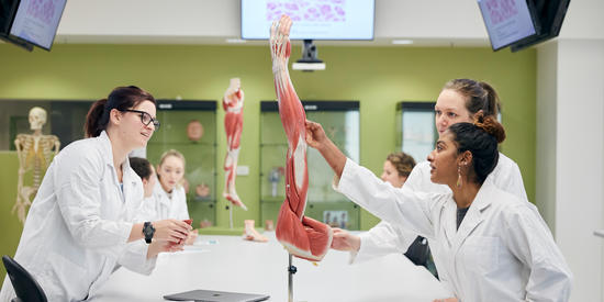 Biomedical students working in science lab