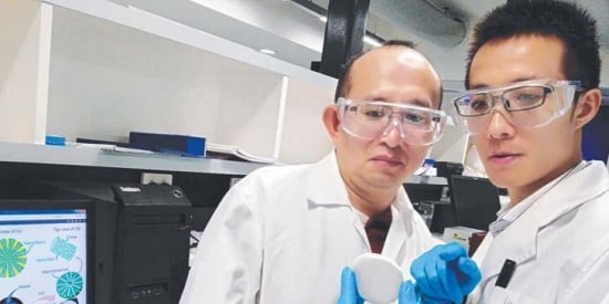 Ice crystals help Deakin tissue engineers create healing scaffolds