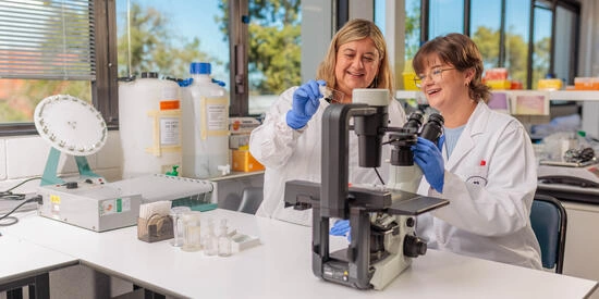 An associate professor and two graduate researchers in a textiles facility.