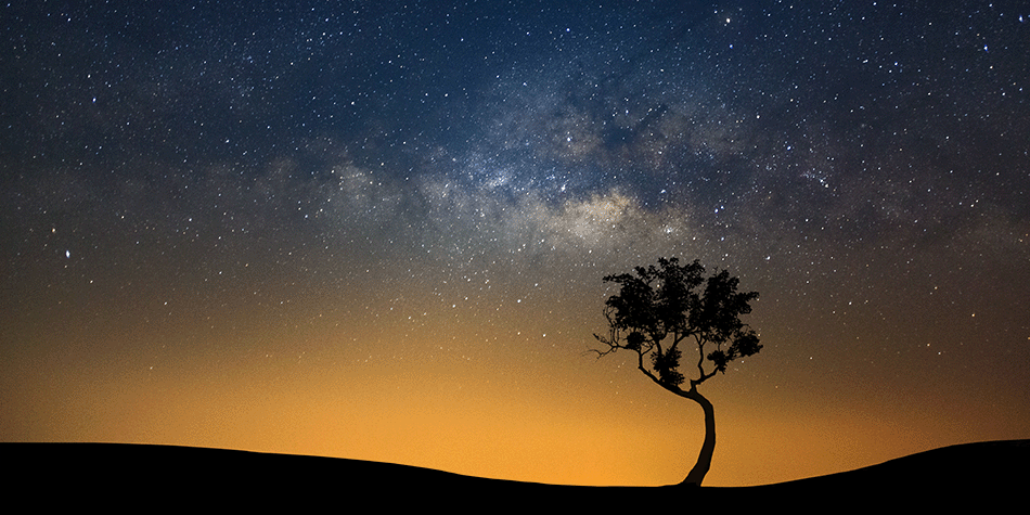 https://www.deakin.edu.au/__data/assets/image/0011/2780165/950x475-Healing-the-mind-banner-stars.png