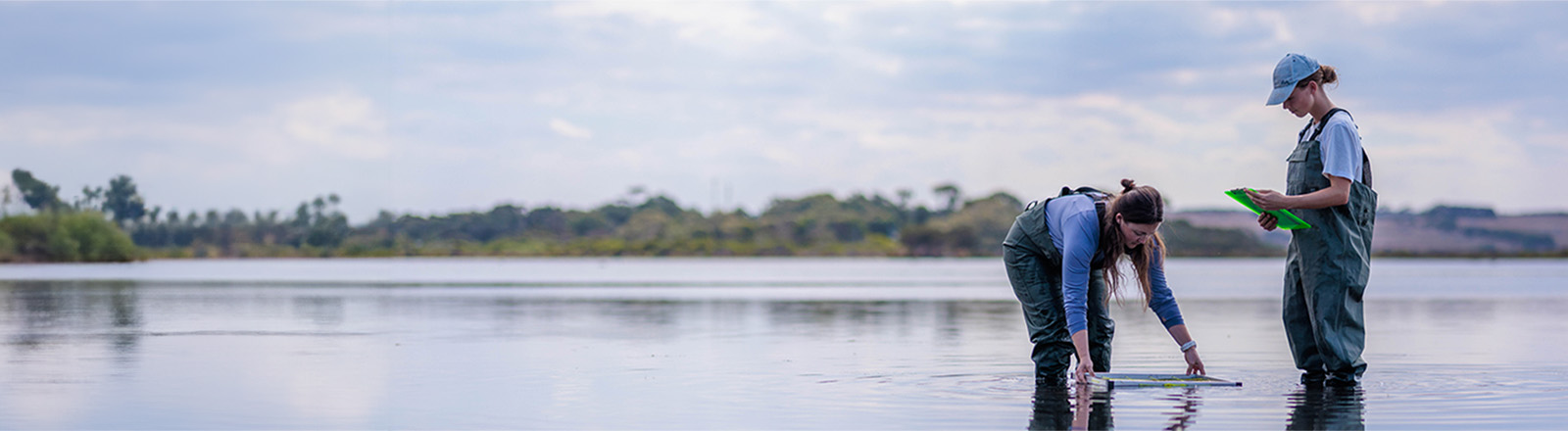 https://www.deakin.edu.au/__data/assets/image/0011/2920844/46670_1600x440_marine_researchers_in_water.jpg