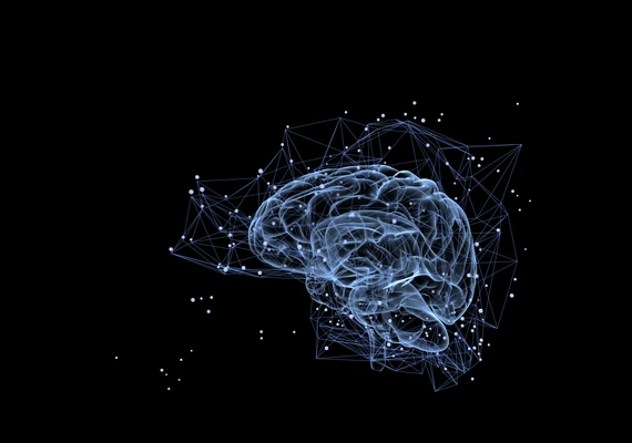 An artistic image of a brain on a black background.