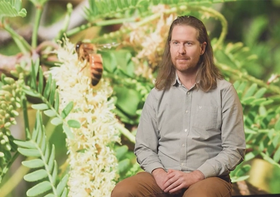  Placemaking for pollinators