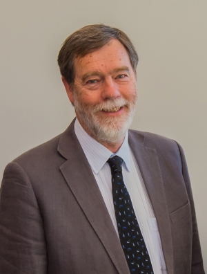 Emeritus Professor Julian Mercer
