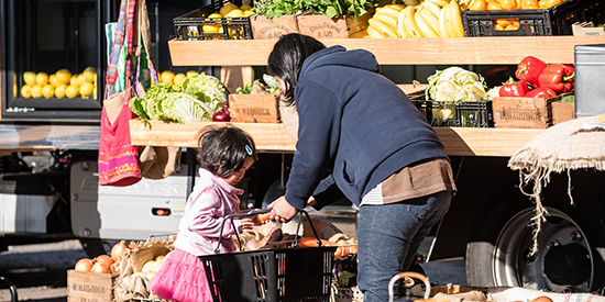 Study aims to address food security for asylum seekers