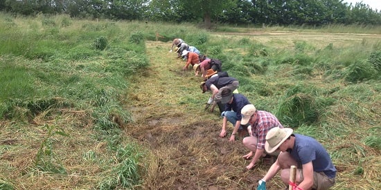 Lancefield dig to unearth secrets of megafauna extinction