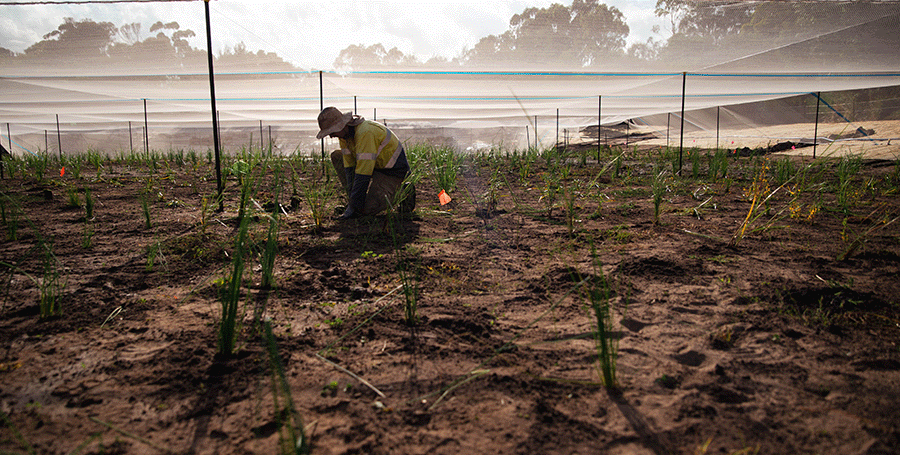 Water management expert doing site work