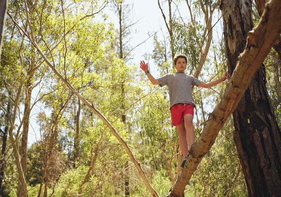 A child balancing on a tree outdoors.