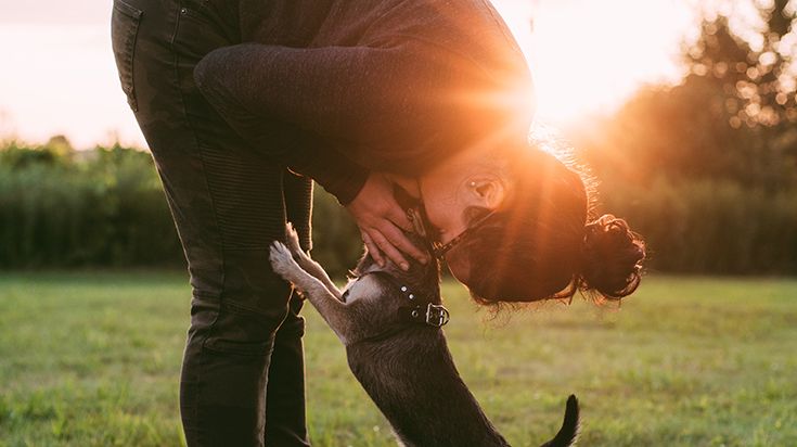 Image of a woman patting her dog in a field with a sunset