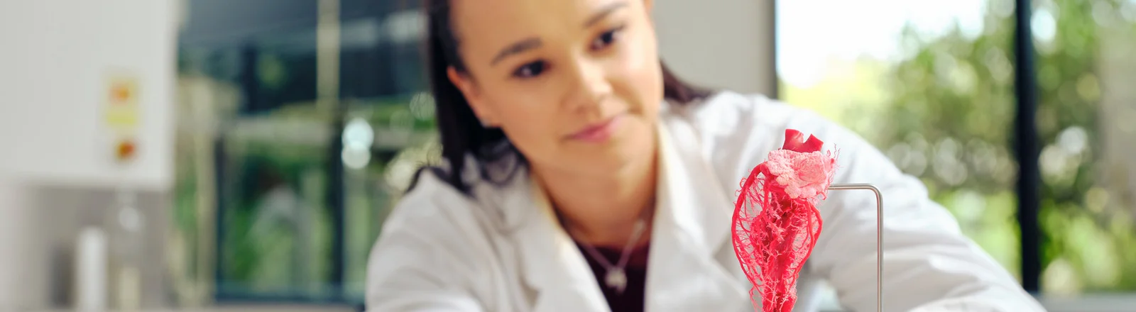 Bachelor of Health and Medical Science (Honours)