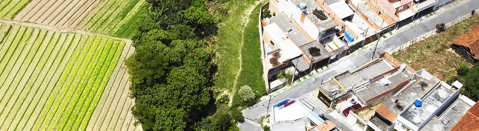 Aerial view of fields on the left, a thin strip of trees in the middle and urban sprawl of houses to the right.