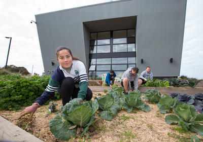 Students planting plants