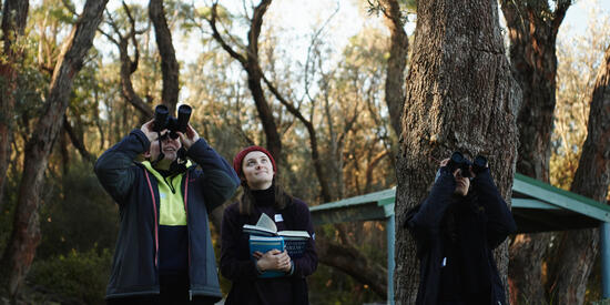Three Wildlife and Conservation students look up for wildlife. Two are using binoculars and one is holding books.