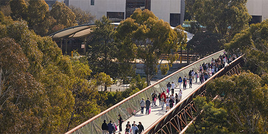 Students walking across the bridge at Deakin's Burwood campus