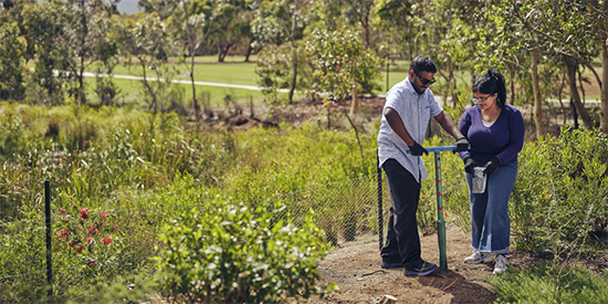 Two people planting a tree