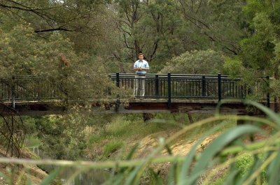 Professor Andrew F Bennett