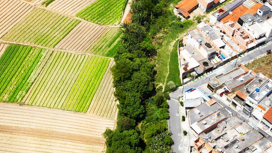 Aerial view of fields on the left, a thin strip of trees in the middle and urban sprawl of houses to the right.