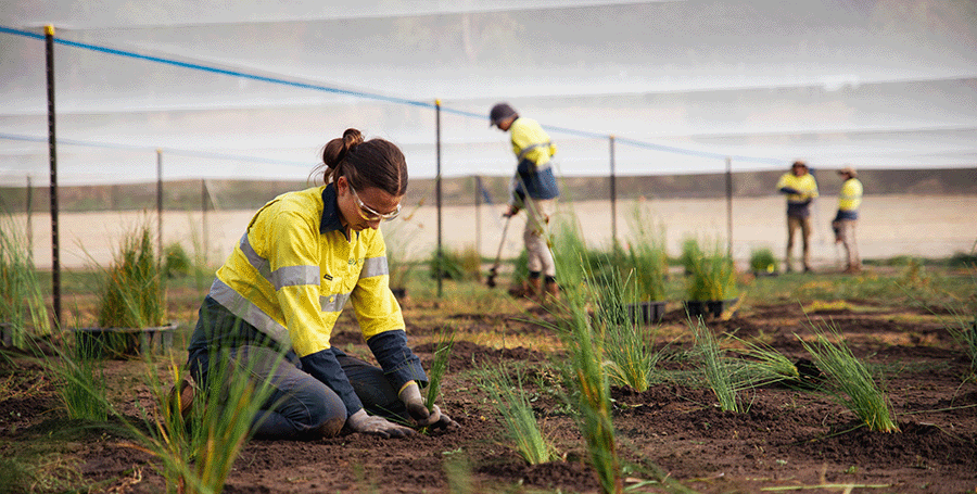 Water management expert in grassland habitat