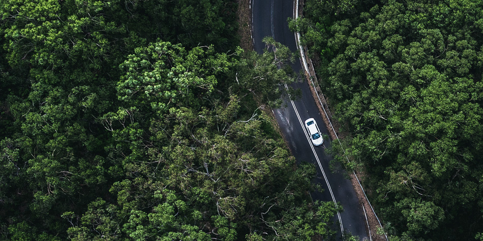 https://www.deakin.edu.au/__data/assets/image/0014/2210243/HycelCarInForestBanner_950x475px.jpg