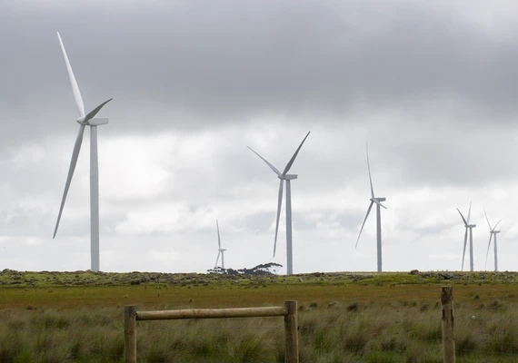 A wind farm.