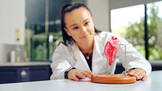 Health student looking at heart model.