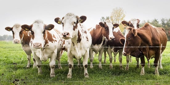 Deakin launches new Food and Agribusiness major at Warrnambool campus