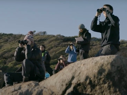 A group of wildlife conservation students standing on a rock formation using binoculars to look out